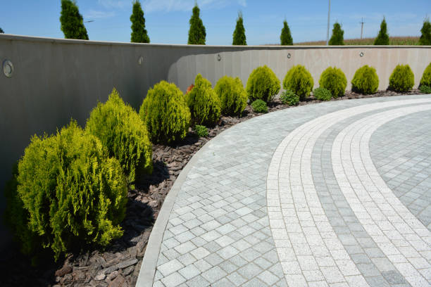 Best Brick Driveway Pavers  in Pacific, WA